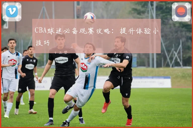 CBA球迷必备观赛攻略:提升体验小技巧